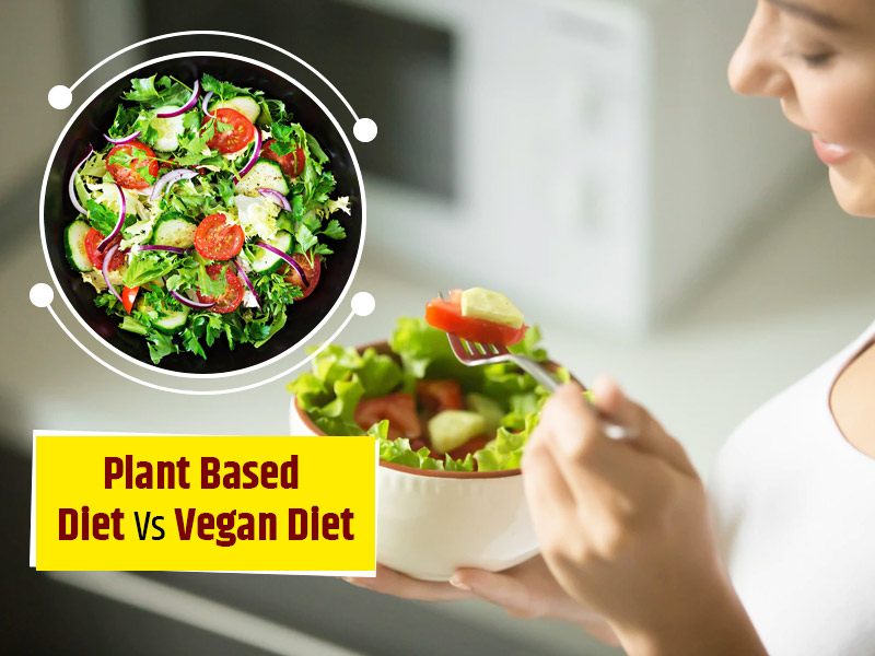Plant-Based vs. Vegan Diet — What’s the Difference?